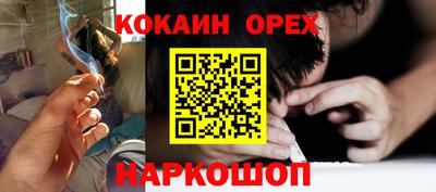 гидра Кандалакша