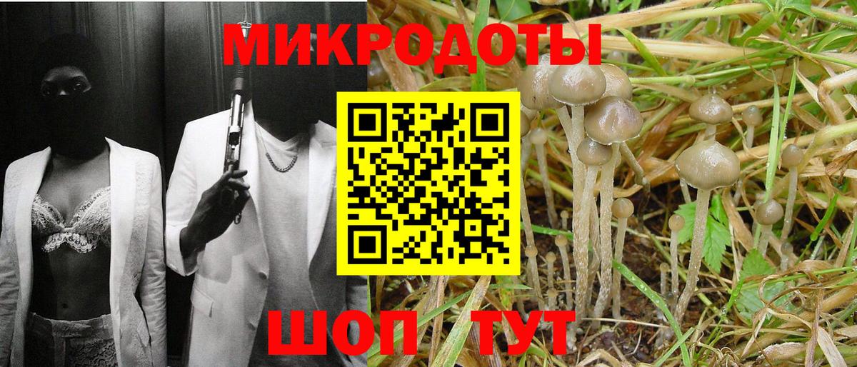 Псилоцибиновые грибы Magic Shrooms Комсомольск-на-Амуре