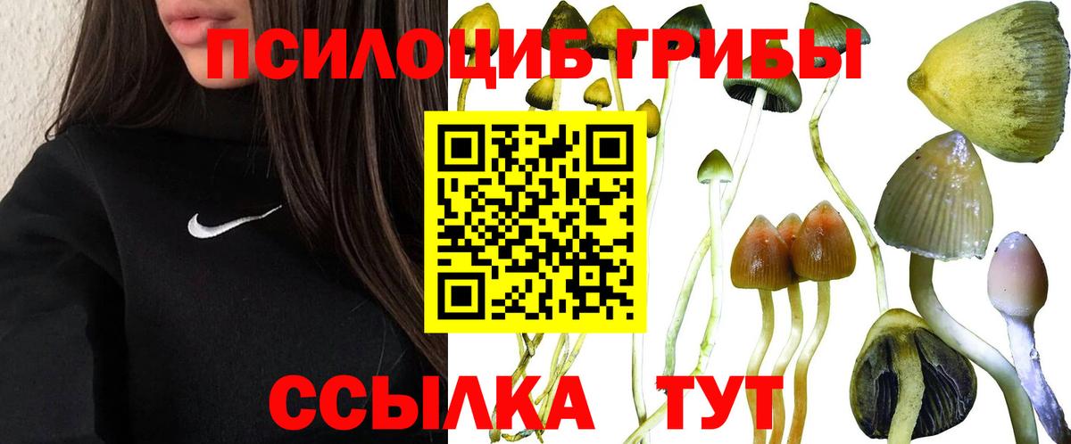 Галлюциногенные грибы GOLDEN TEACHER  Вход с VPN  Комсомольск-на-Амуре 